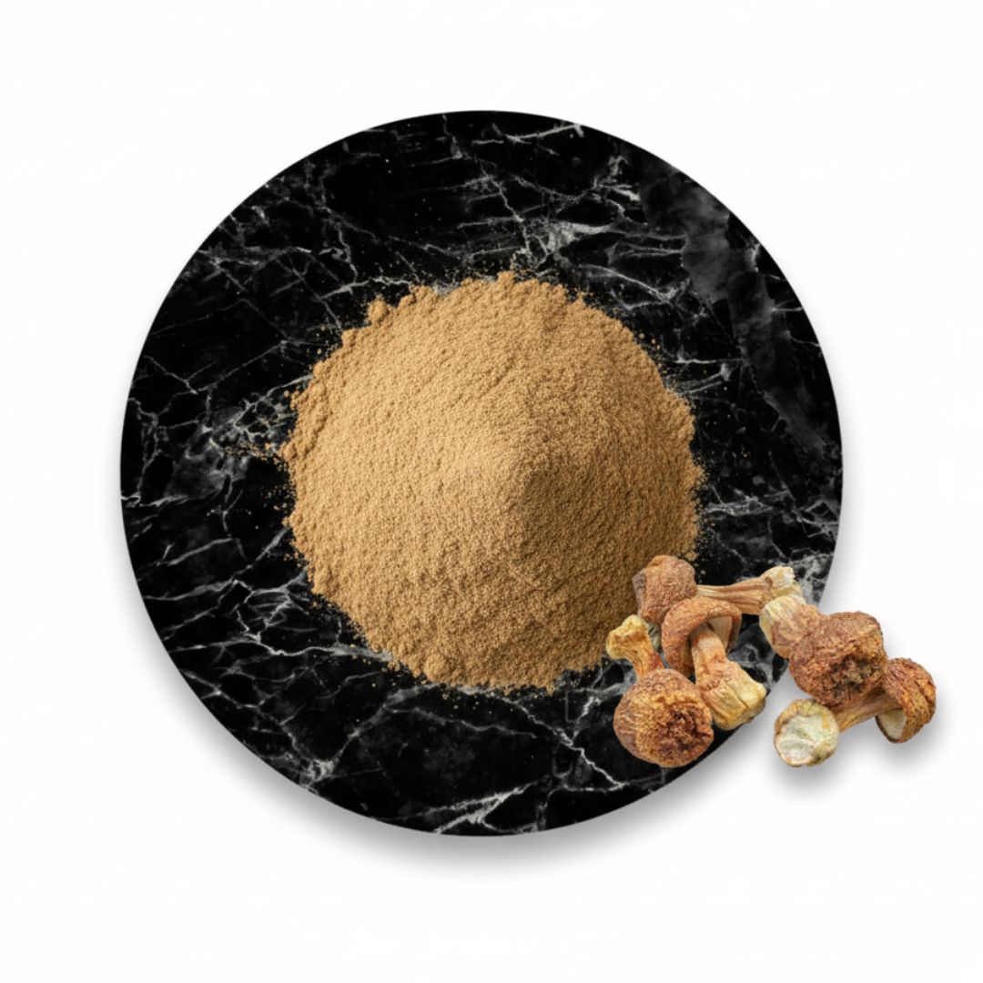 Agaricus Blazei Extract