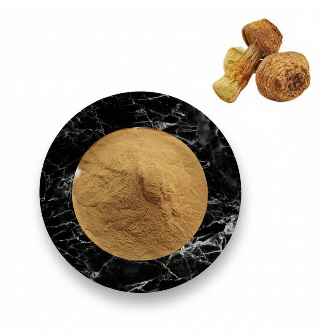 Agaricus Blazei Murrill Extract Powder