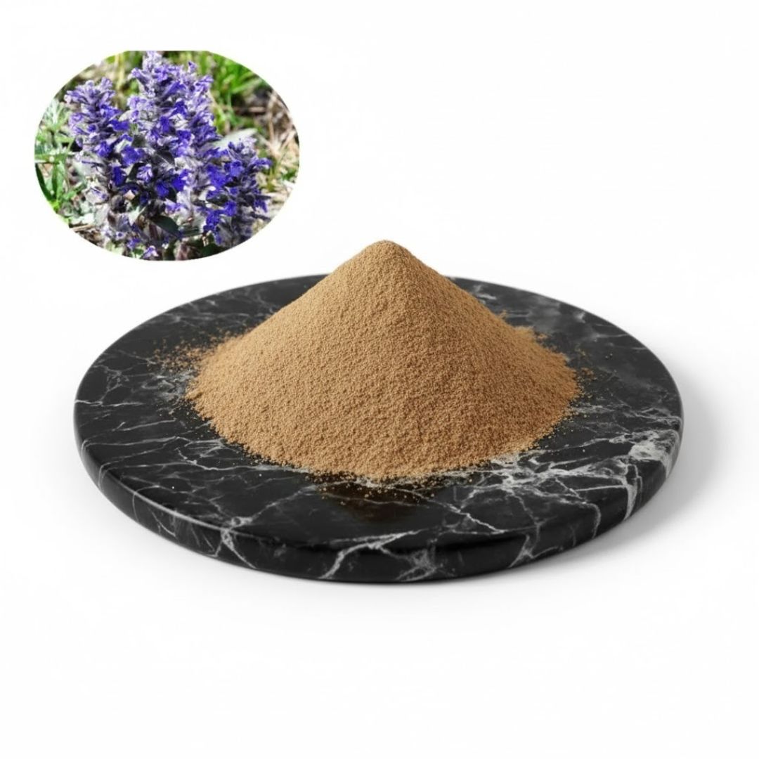 Ajuga Turkestanica Extract