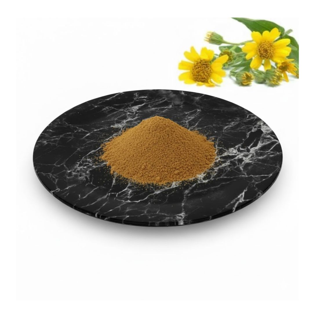 Arnica Extract Bulk