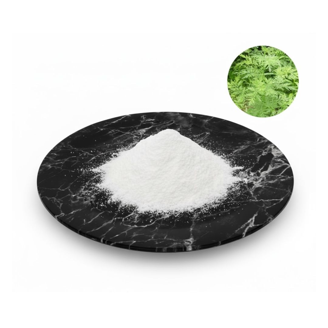 Artemisia Annua Extract Powder