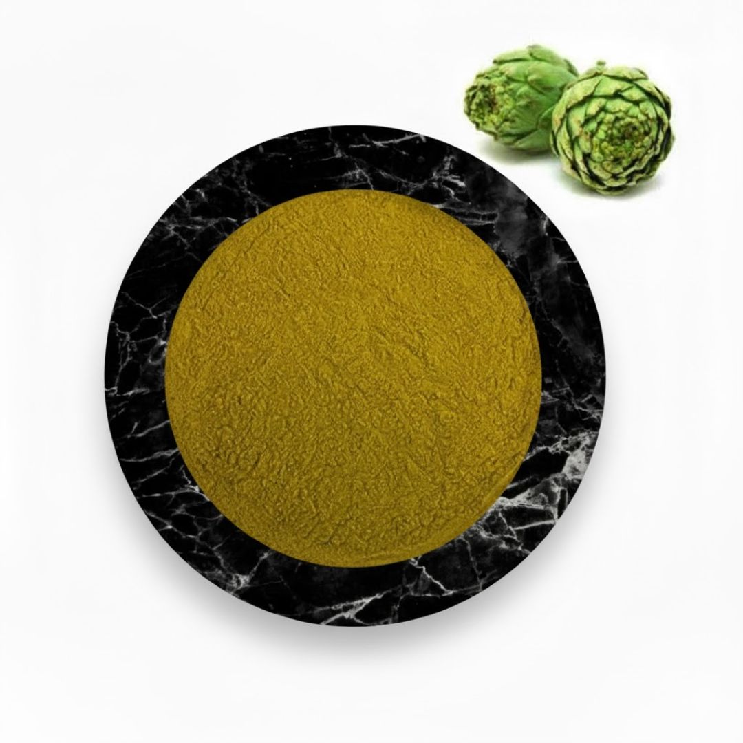 Artichoke Leaf Extract Powder