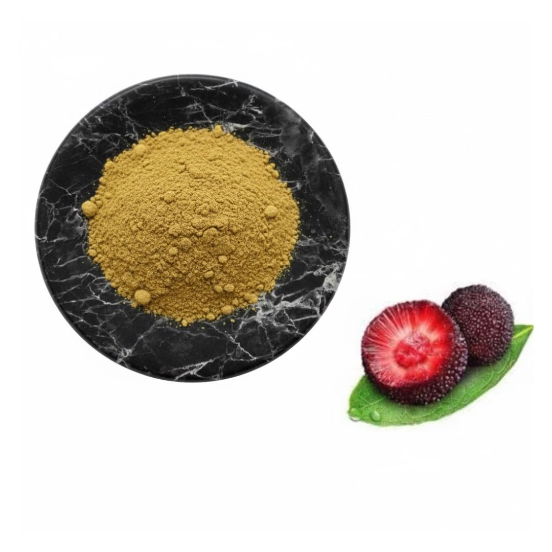 Bayberry Extract