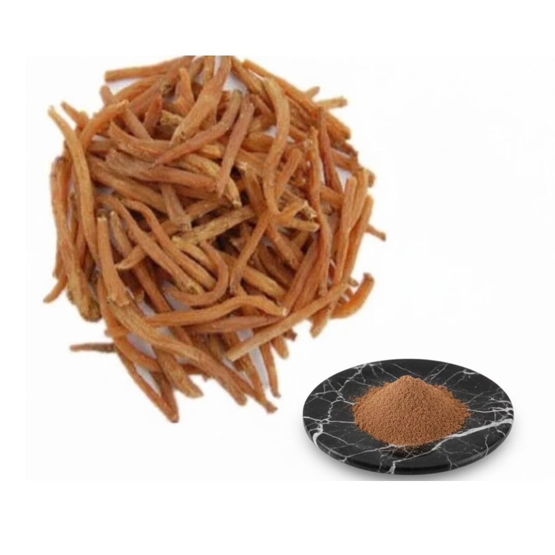 Best Korean Red Ginseng Extract
