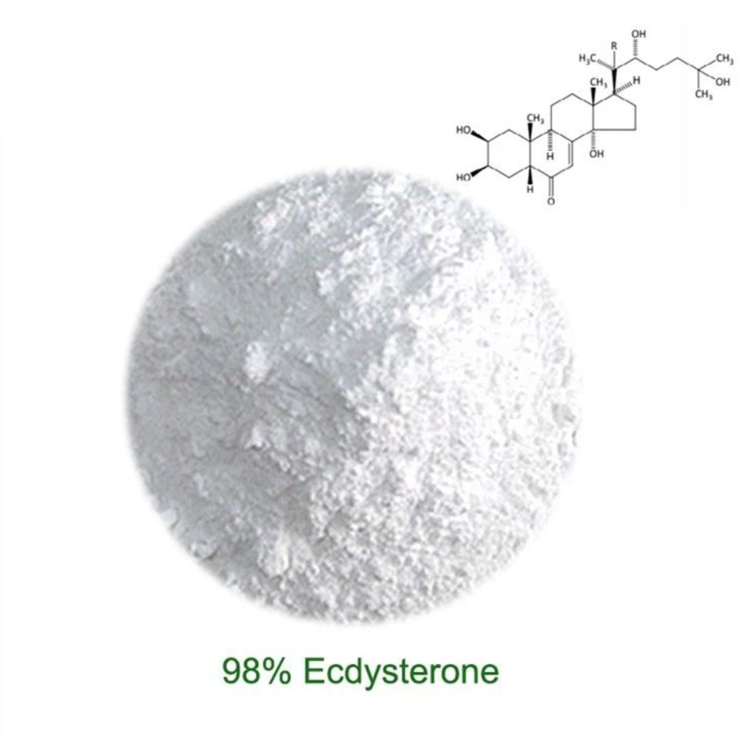 Beta Ecdysterone Powder