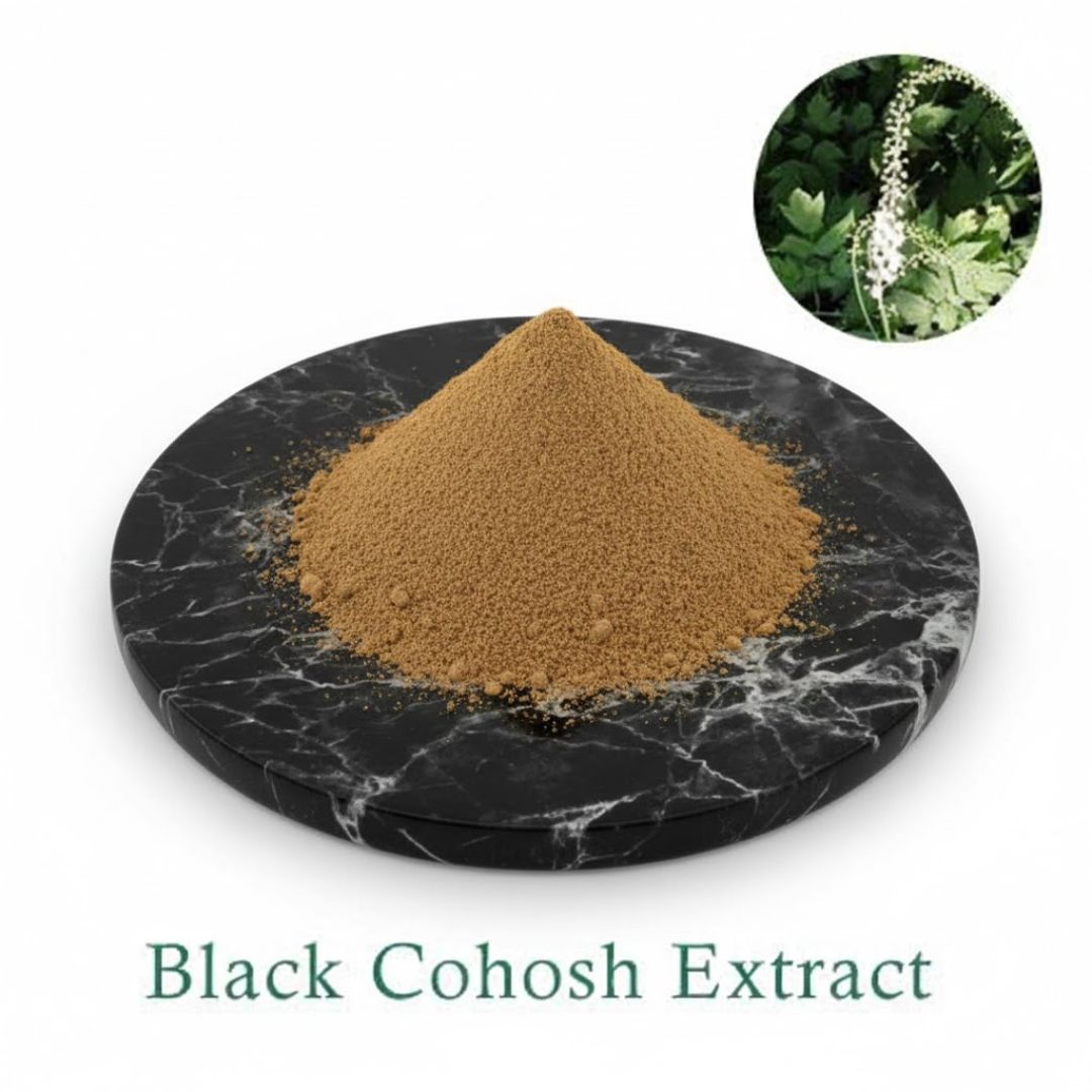 Black Cohosh Extract Powder