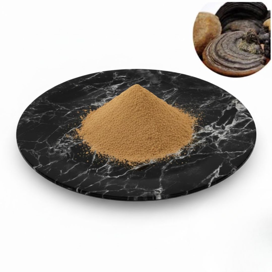 Black Hoof Mushroom Extract